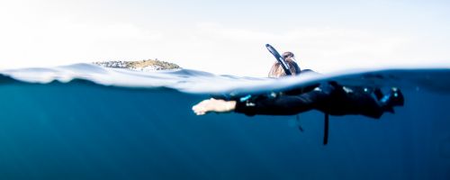 COURS D'INSTRUCTEUR D'APNÉE PADI